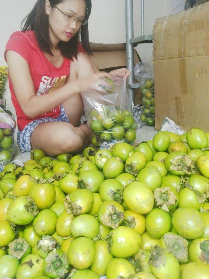 Hồng giòn Đà Lạt - ngọt giòn đặc sản vùng Cao Nguyên 8 hong-gion-da-lat-1