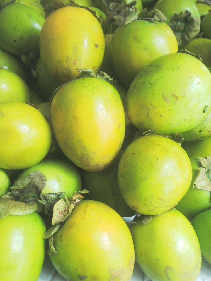 Hồng giòn Đà Lạt - ngọt giòn đặc sản vùng Cao Nguyên 6 hong-gion-da-lat-2