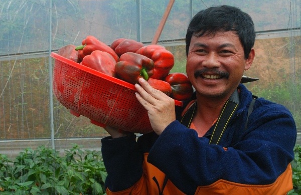 tham-quan-vuon-ot-o-da-lat-2