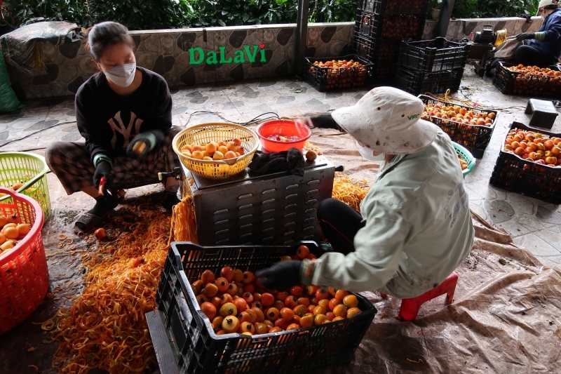 Công dụng của hồng sấy dẻo - Điều này thật bất ngờ