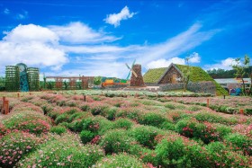 lac-vao-thien-duong-co-tich-tai-da-lat-mo-suong-10