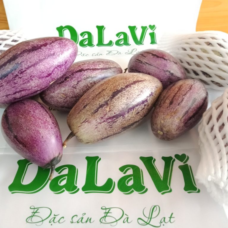 Dưa Pepino tím