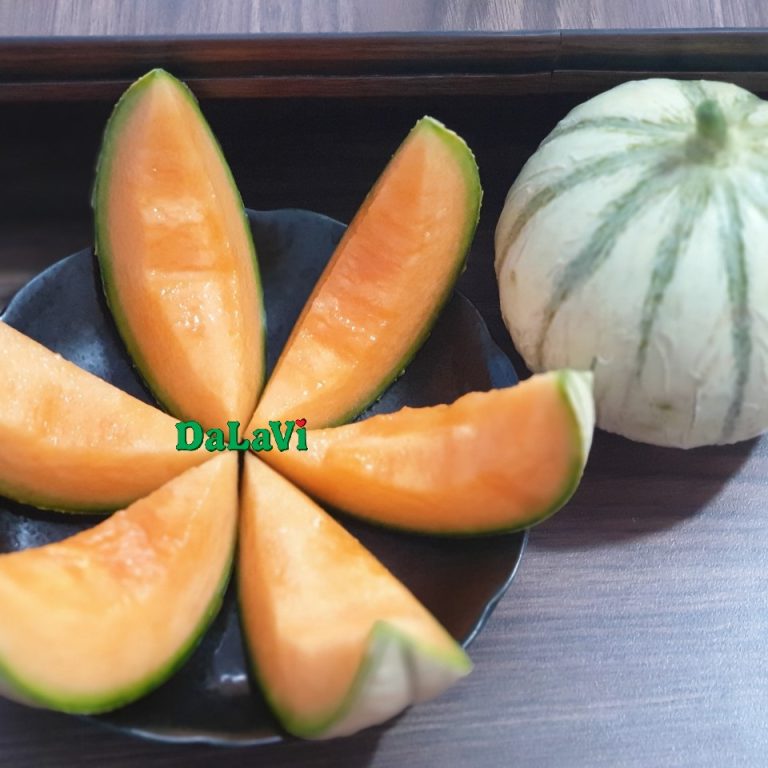 Dưa lê Pháp
