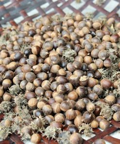 Hạt dẻ rừng (2kg)
