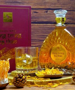 Câu chúc Tết hay cho năm mới và quà tặng Tết 2025