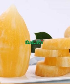 Sâm đất Đà Lạt (sâm đất Yacon)