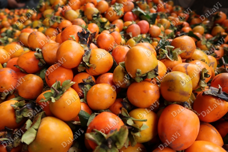 Hồng treo gió ở Hà Nội - Mua ngay đặc sản trứ danh Đà Lạt