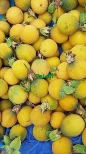 Bảo quản chanh dây Colombia tươi lâu, đúng cách, an toàn