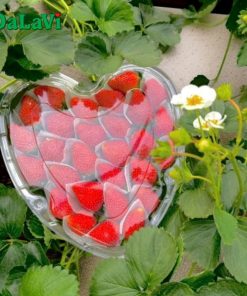 Hộp dâu tây trái tim