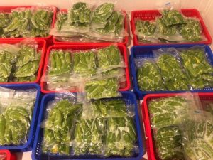 Mua sỉ bơ 034 (bơ nữ hoàng) giá cạnh tranh, chất lượng