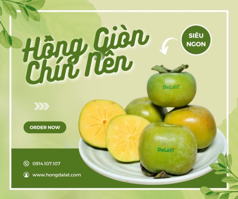 hong-chin-nen-3