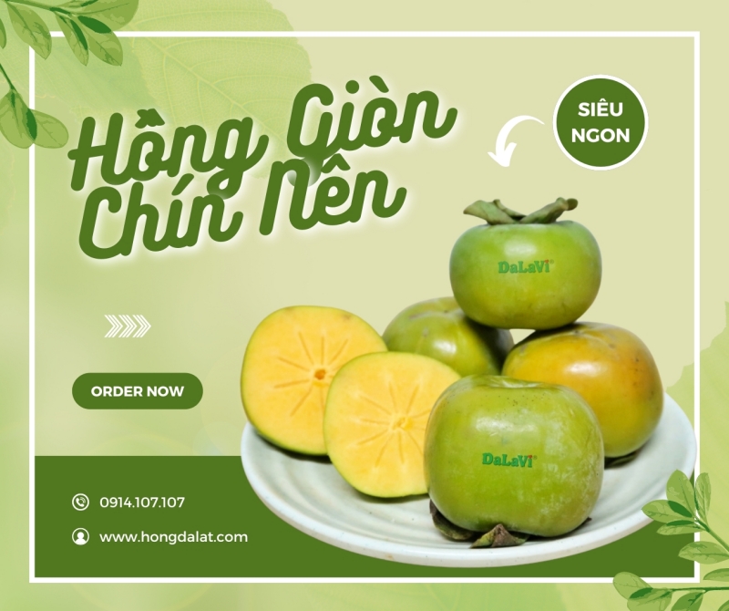 Top 7 quả hồng Đà Lạt được yêu thích trồng tại Lâm Đồng