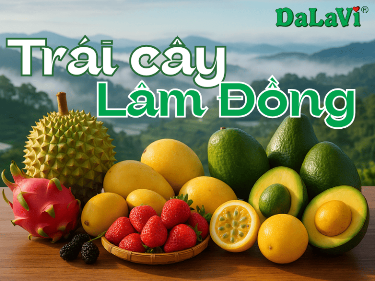 trai-cay-lam-dong