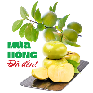 Bảo quản hồng giòn Chín Nên đúng cách, để lâu không hư