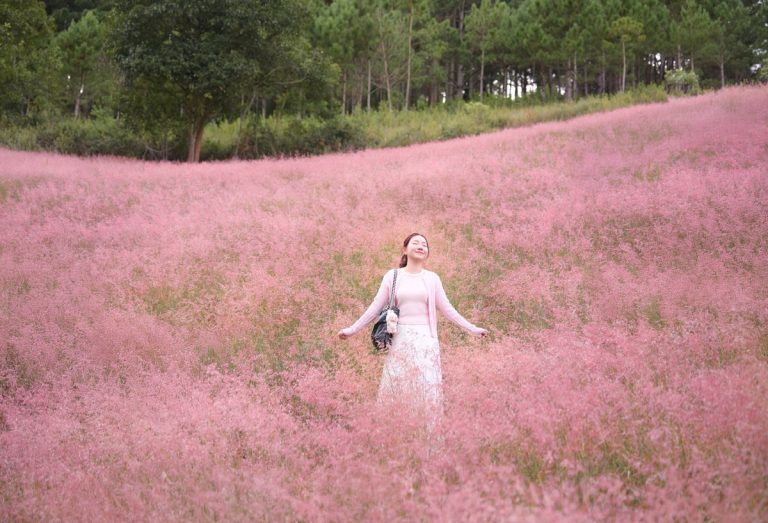 doi-co-lau-hong-da-lat-2025-9