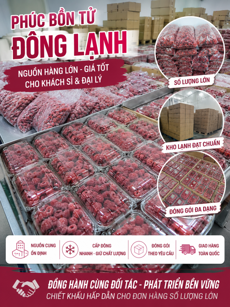 phuc-bon-tu-dong-lanh-1