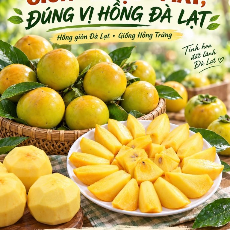 Hồng giòn Đà Lạt